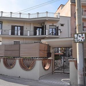 B&B Le Cycas